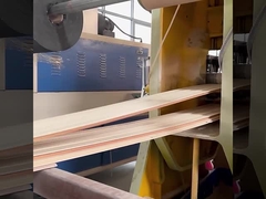 De Muurcomités van WPC Geluiddichte Fabrieks Directe Waterdicht en Vochtbestendig