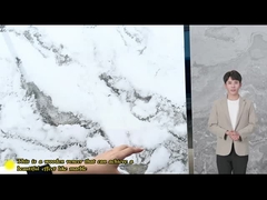 Nieuw product Marmer bamboe houtskool Hout veneer panelen Interieur decoratieve wandpanelen