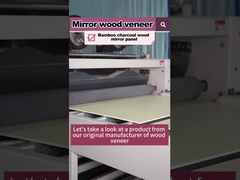 Warm verkoopproduct 5MM 8MM Hout Graan Hout Veneer Bamboe Houtskool PVC Wandpaneel