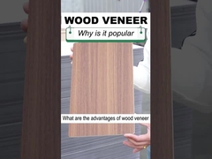 Stevige Binnenhuisarchitectuur 1.22m van het Vernisjepvc van de Breedte Houten Korrel Houten de Muurcomité