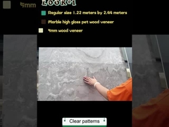 Hoogwaardige milieuvriendelijke wandpanelen wandinterieur PET marmeren wandpanelen