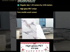 Bamboe Hout houtskool Fliner PET Marmer Textuur Decoratief PVC Wandpaneel PET Wandplaat