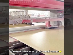 2.44m Bamboe Houtskool Wandplaat Moderne Lichte Luxe Op maat gemaakte Lengte PVC Carbon Crystal Wallboard