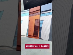 Spiegelwandpanelen